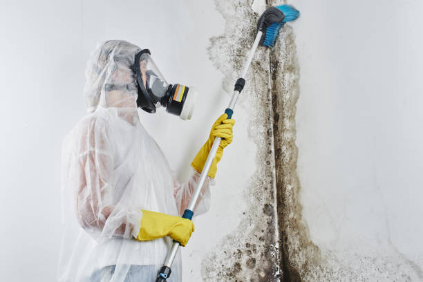 Mold Remediation for Rental Properties in Fountain Inn, SC