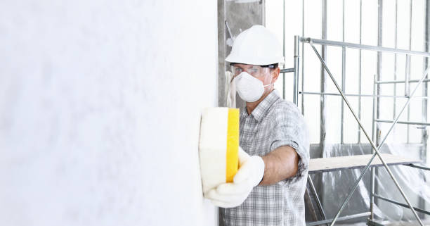 Best Industrial Mold Remediation  in Fountain Inn, SC