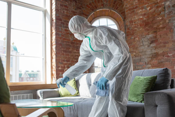 Best Mold Remediation for Rental Properties  in Fountain Inn, SC