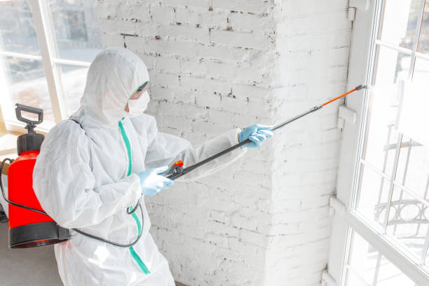 Trusted Fountain Inn, SC Mold Removal & Remediation Experts