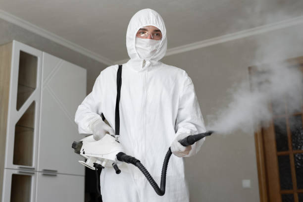  Fountain Inn, SC Mold Removal & Remediation Pros